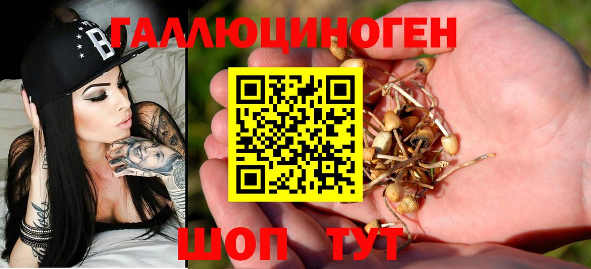 Холмск  Псилоцибиновые грибы прущие грибы  Галлюциногенные грибы прущие грибы  Вход с VPN 